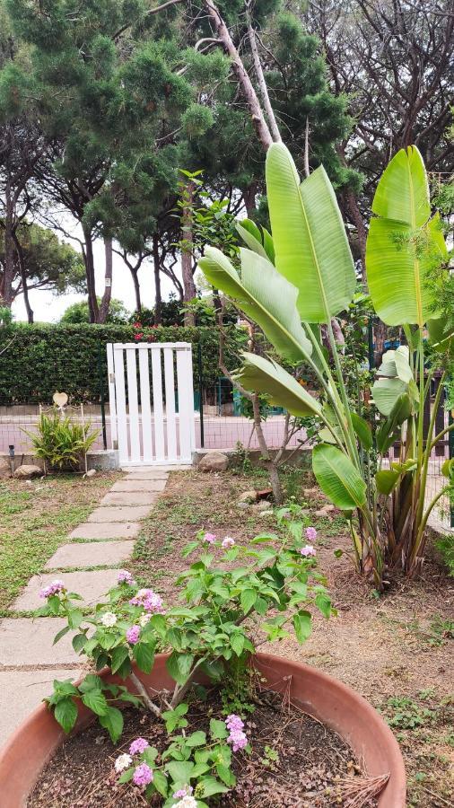 Vila Villino Sunshine S8989 Santa Margherita di Pula Exteriér fotografie